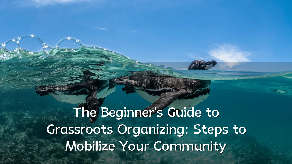The Beginner's Guide to Grassroots Organizing: Steps to Mobilize Your Community