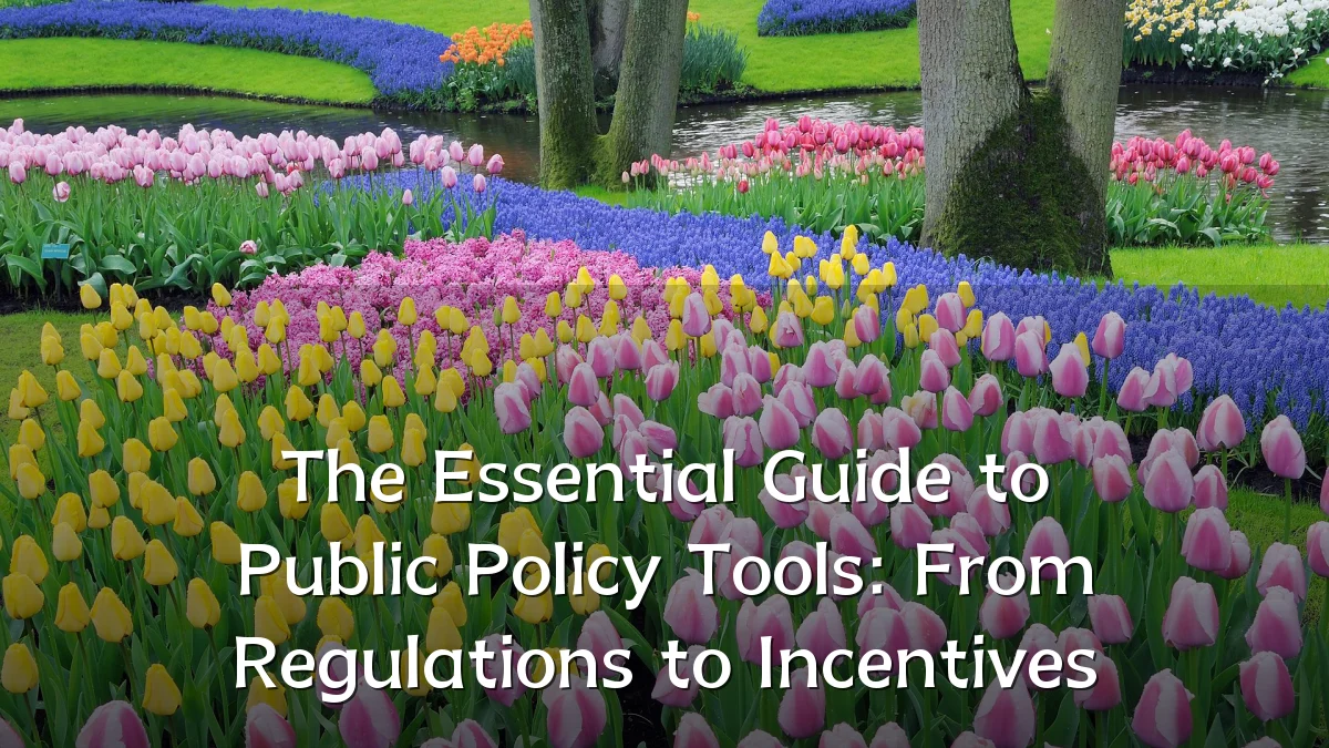The Essential Guide to Public Policy Tools: From Regulations to Incentives